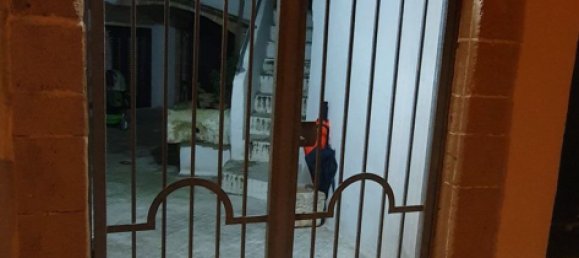 4-Zimmer Wohnung in Gallipoli, Italy, Nr. 254914 7