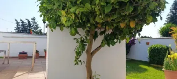 2 Schlafzimmer Haus in La Barrosa, Spain, Nr. 172571 31