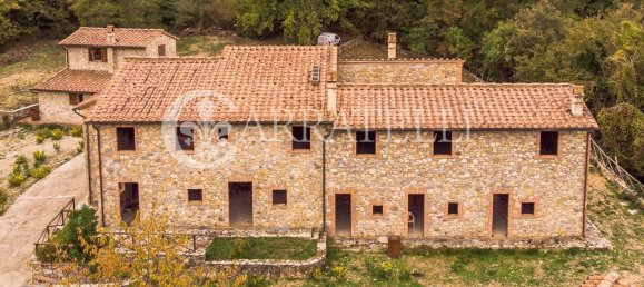 11 rooms House in Castellina in Chianti, Italy No. 160629 21