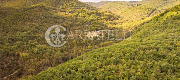 11 rooms House in Castellina in Chianti, Italy No. 160629 10