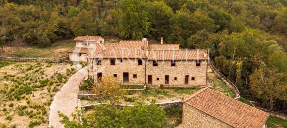 11 rooms House in Castellina in Chianti, Italy No. 160629 20