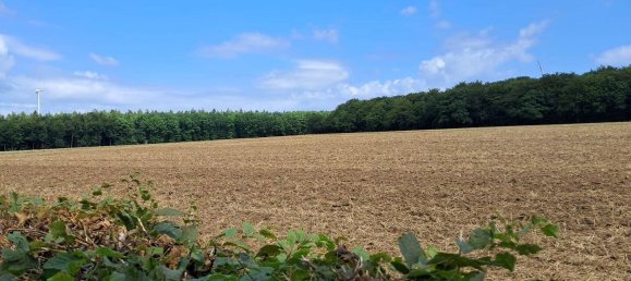 Casa de 4 habitaciónes en Rhein-Hunsruck, Germany No. 226375 11