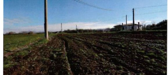 15740m² Land in Viterbo, Italy No. 306610 3