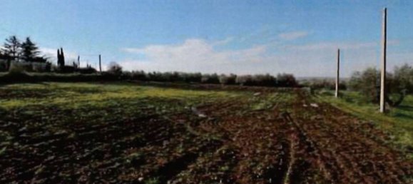 15740m² Land in Viterbo, Italy No. 306610 2