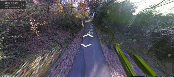 15740m² Land in Viterbo, Italy No. 306610 9