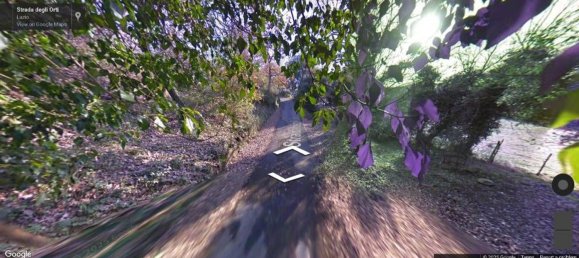 15740m² Land in Viterbo, Italy No. 306610 10