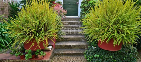 8 bedrooms House in Oeiras, Portugal No. 102849 3