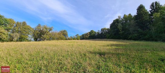  Land in Tullnerbach, Austria No. 10396 7