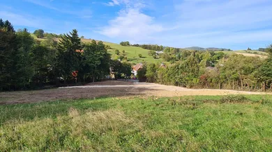  Land in Tullnerbach, Austria No. 10396