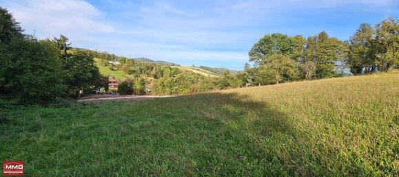  Land in Tullnerbach, Austria No. 10396 10