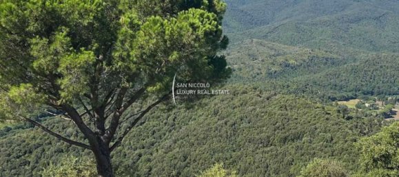 10 rooms House in Castiglione della Pescaia, Italy No. 196318 46