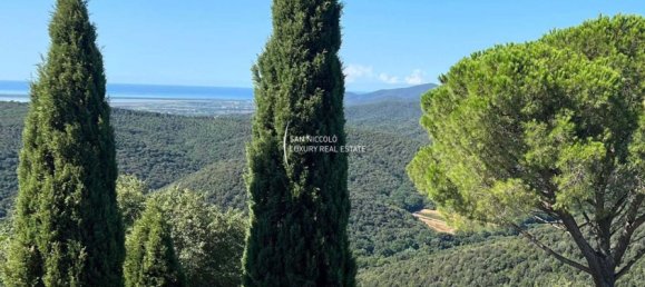 10 rooms House in Castiglione della Pescaia, Italy No. 196318 43