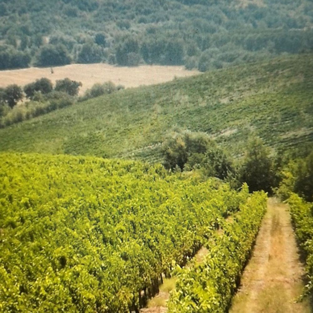  Land in Torre Le Nocelle, Italy No. 343986