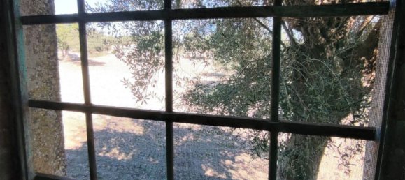 5 chambres Maison à Ragusa, Italy No. 112434 28