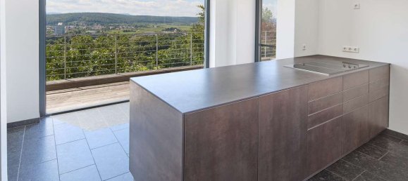 Земельный участок 1261м² в Tubingen, Германия № 72834 9