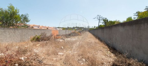 4 bedrooms House in Vagos, Portugal No. 184850 28