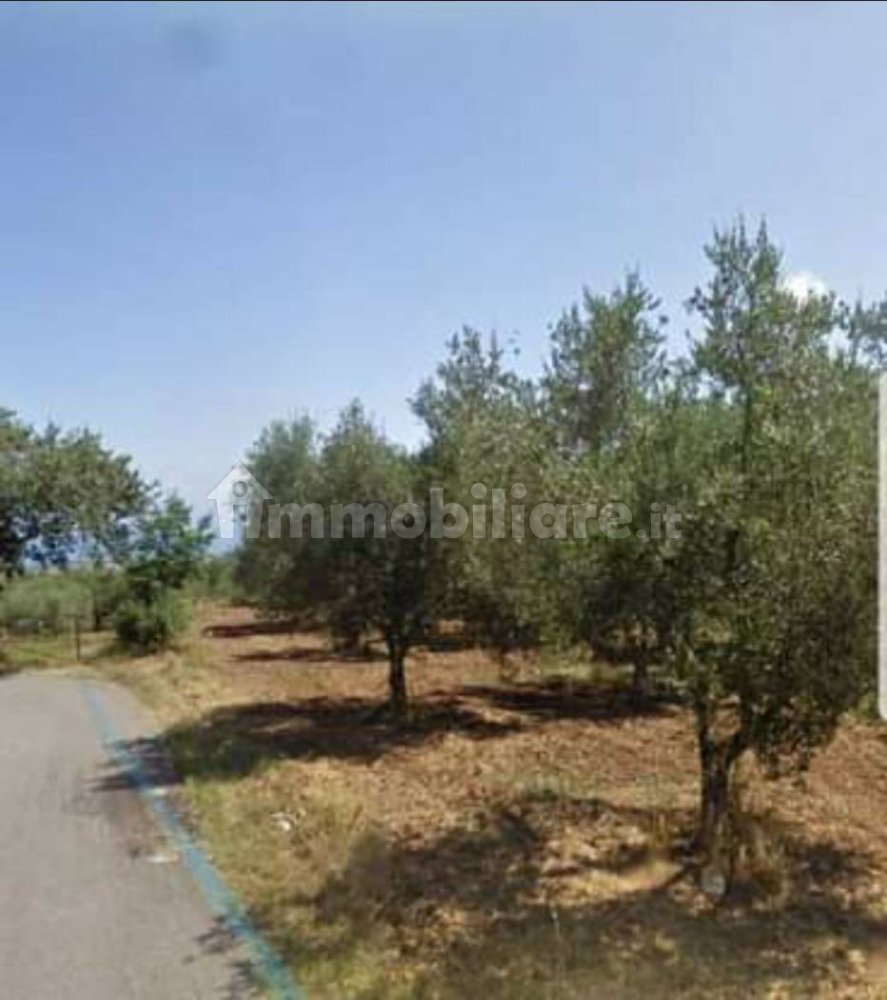 Grundstück in Zambrone, Italy 3650m², Nr. 342997