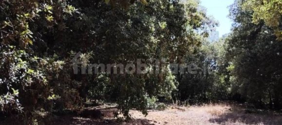  قطعة أرض في Pedara, Italy 37997متر مربع رقم 273504 11