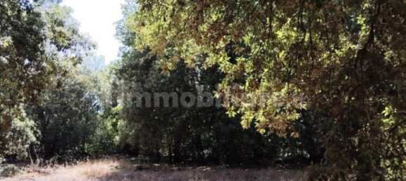  قطعة أرض في Pedara, Italy 37997متر مربع رقم 273504 13