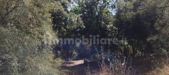  قطعة أرض في Pedara, Italy 37997متر مربع رقم 273504 15