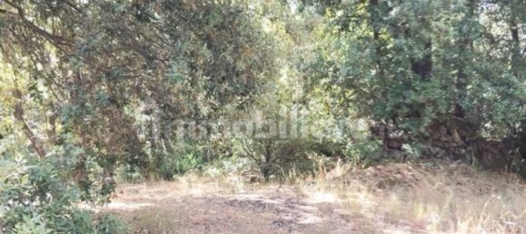  قطعة أرض في Pedara, Italy 37997متر مربع رقم 273504 10