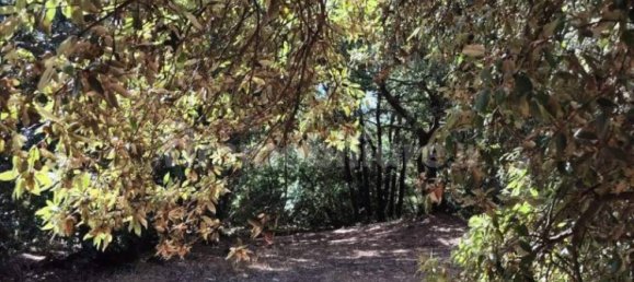  قطعة أرض في Pedara, Italy 37997متر مربع رقم 273504 8