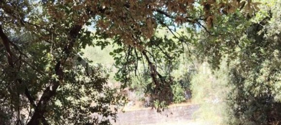  قطعة أرض في Pedara, Italy 37997متر مربع رقم 273504 7