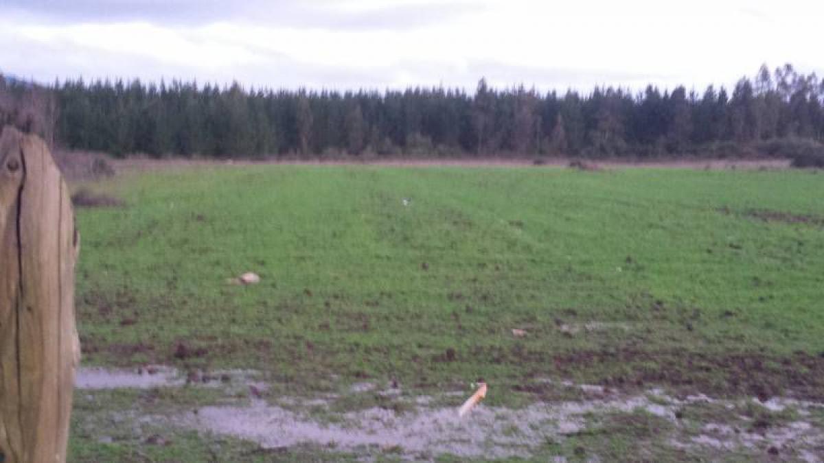  Land in Maule, Chile No. 1139