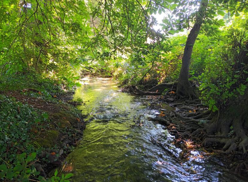 7 غرف نوم منزل في Rioz, France رقم 190582