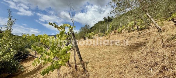 4 bedrooms House in Lucca, Italy No. 278273 26