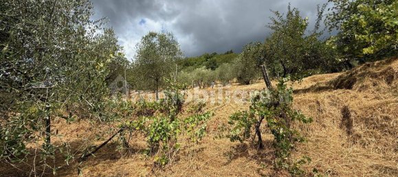 4 bedrooms House in Lucca, Italy No. 278273 27