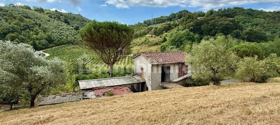 4 bedrooms House in Lucca, Italy No. 278273 22