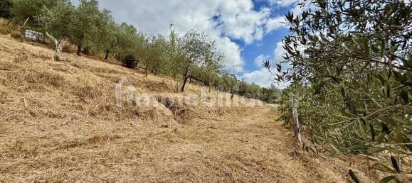 4 bedrooms House in Lucca, Italy No. 278273 20