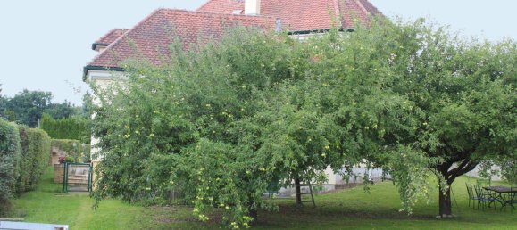 8 rooms House in Wiesfleck, Austria No. 207859 23