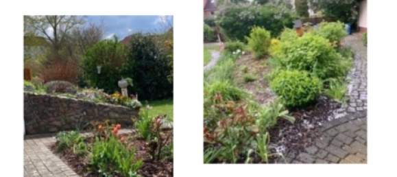 5 rooms Villa in Stendal, Germany No. 18962 5