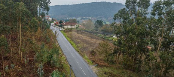 Grundstück in Fafe, Portugal 3900m², Nr. 20319 3