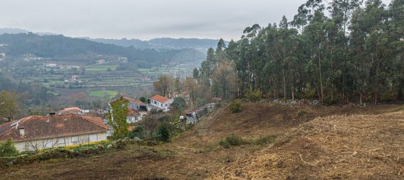 Grundstück in Fafe, Portugal 3900m², Nr. 20319 6