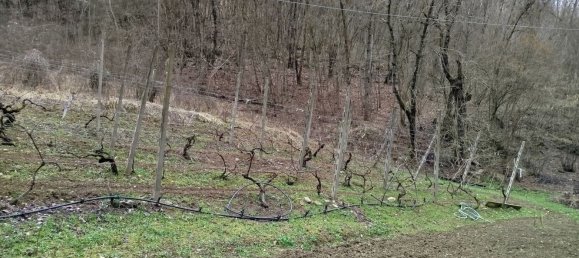 7 rooms House in Travo, Italy No. 121085 35