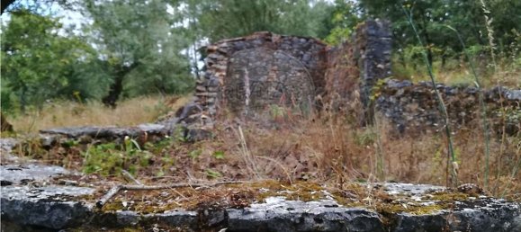 2 Schlafzimmer Haus in Pousaflores, Portugal, Nr. 20711 3