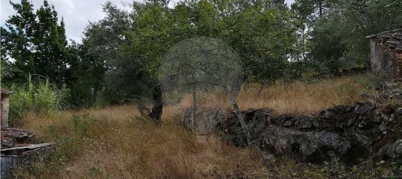 2 Schlafzimmer Haus in Pousaflores, Portugal, Nr. 20711 2