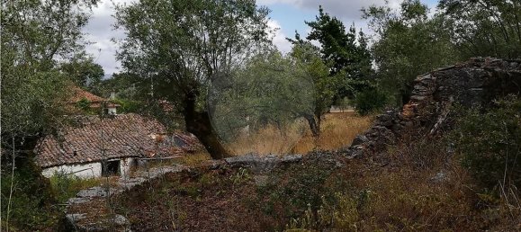 2 Schlafzimmer Haus in Pousaflores, Portugal, Nr. 20711 4