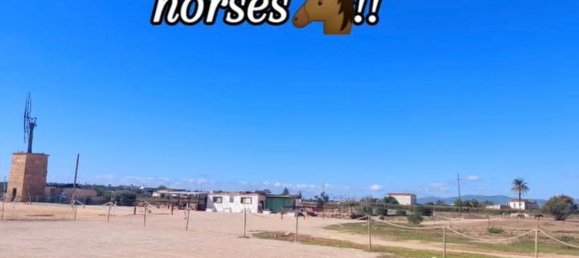 6 bedrooms House in Palma de Majorca, Spain No. 185909 34