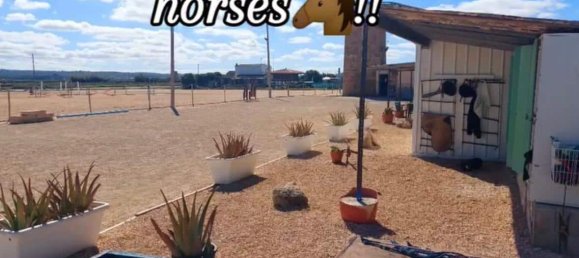 6 bedrooms House in Palma de Majorca, Spain No. 185909 26