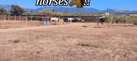 6 bedrooms House in Palma de Majorca, Spain No. 185909 27