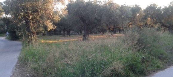 Hotel en Zakynthos, Greece No. 461 9