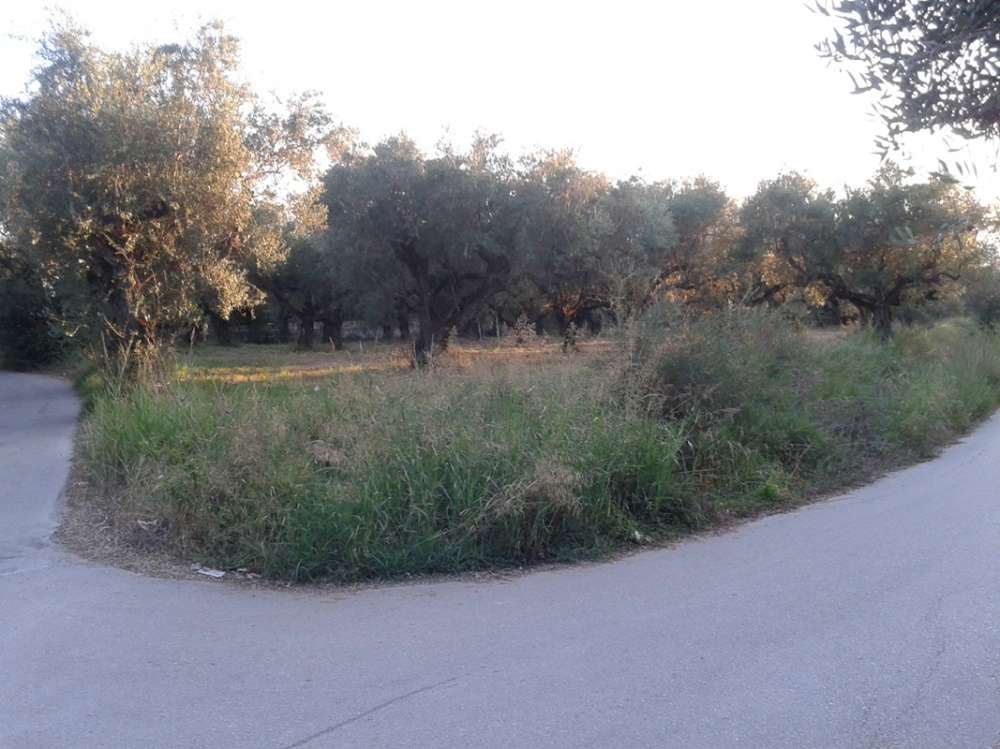 Grundstück in Zakynthos, Greece, Nr. 461