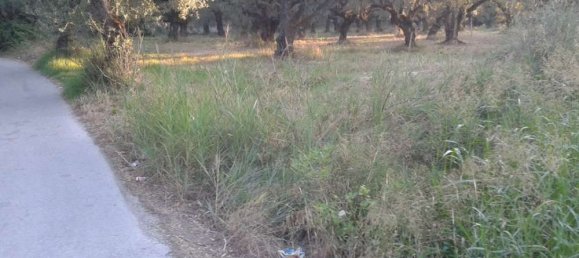 Grundstück in Zakynthos, Greece, Nr. 461 6