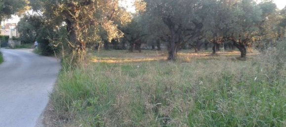 Hotel en Zakynthos, Greece No. 461 5