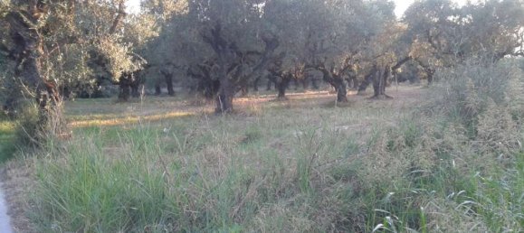 Grundstück in Zakynthos, Greece, Nr. 461 3