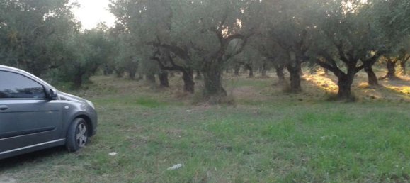 Hotel en Zakynthos, Greece No. 461 8